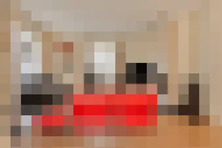 Braziliëlaan 15 Drunen thumbnail 10