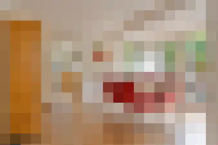 Braziliëlaan 15 Drunen thumbnail 13