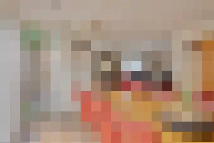 Braziliëlaan 15 Drunen thumbnail 15