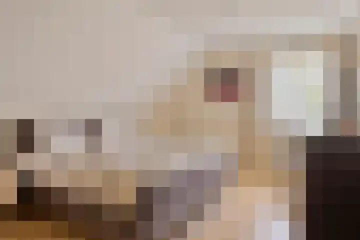 Braziliëlaan 15 Drunen thumbnail 27
