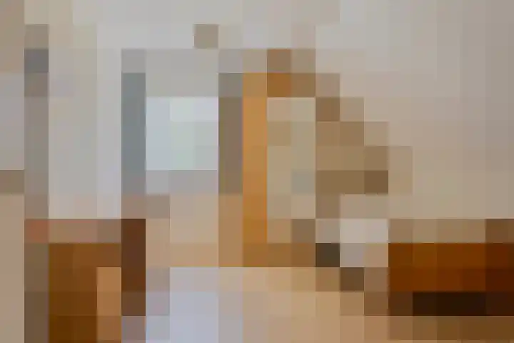 Braziliëlaan 15 Drunen thumbnail 29