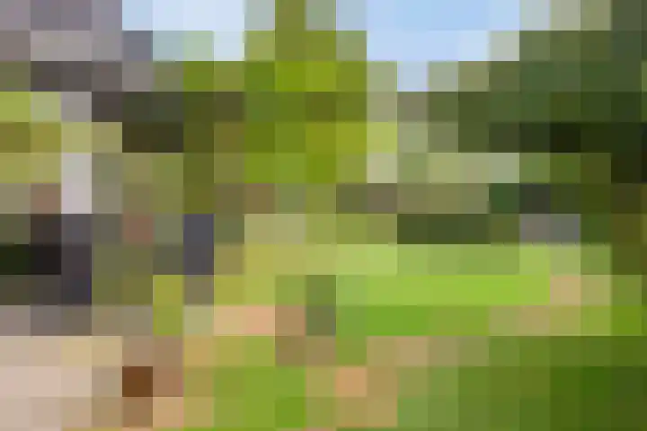Braziliëlaan 15 Drunen foto 3