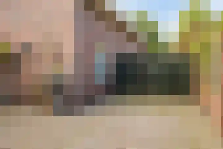 Braziliëlaan 15 Drunen thumbnail 30