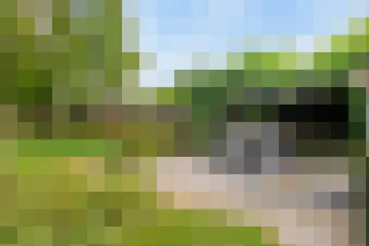 Braziliëlaan 15 Drunen thumbnail 31