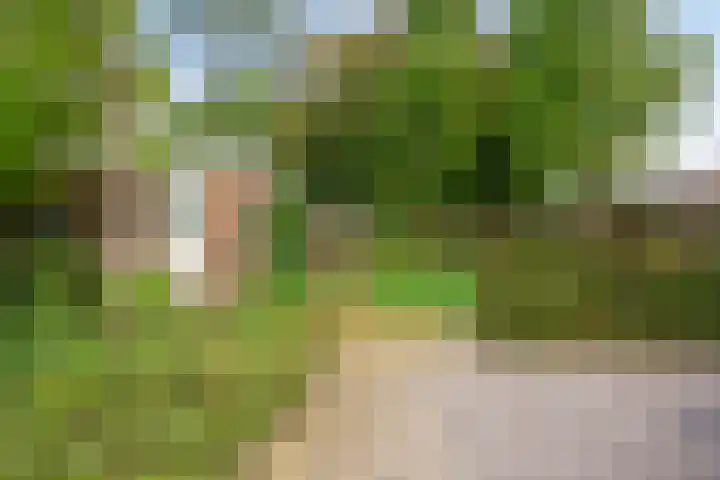Braziliëlaan 15 Drunen thumbnail 32