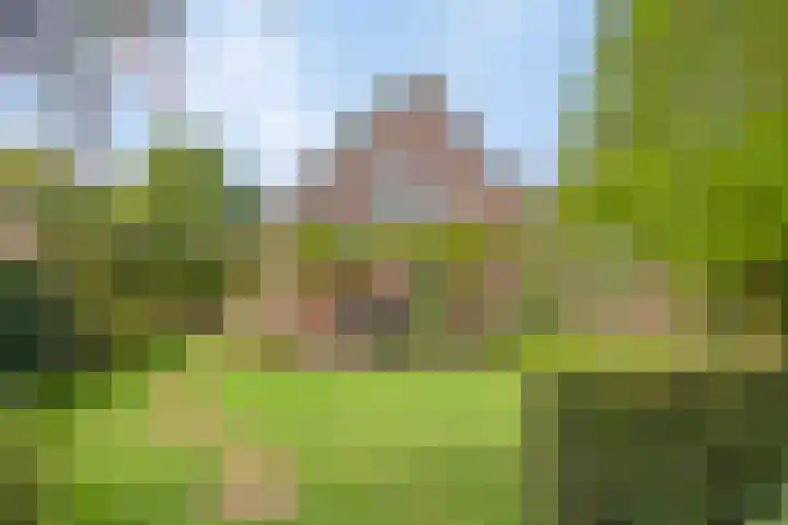 Braziliëlaan 15 Drunen thumbnail 33