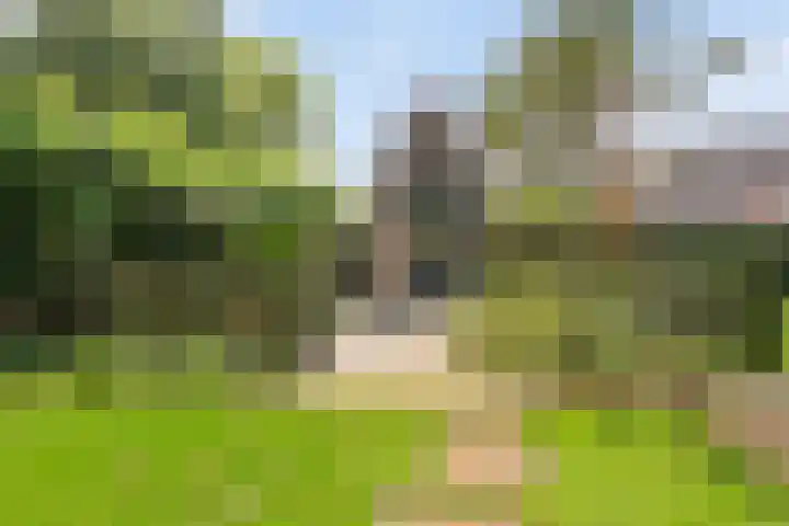 Braziliëlaan 15 Drunen thumbnail 34