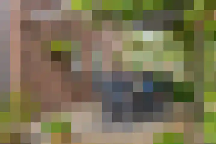 Braziliëlaan 15 Drunen thumbnail 35
