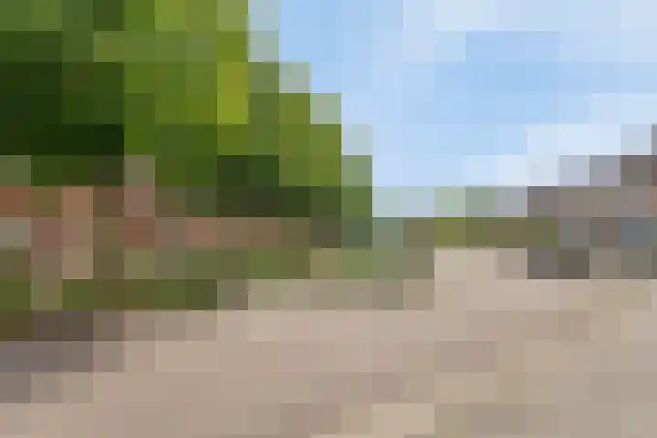 Braziliëlaan 15 Drunen thumbnail 36