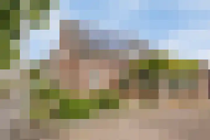 Braziliëlaan 15 Drunen thumbnail 37