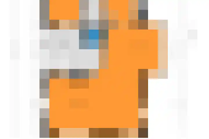 Braziliëlaan 15 Drunen thumbnail 38