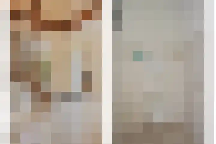 Braziliëlaan 15 Drunen thumbnail 5