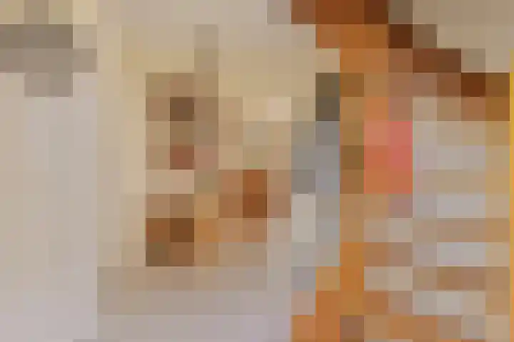 Braziliëlaan 15 Drunen thumbnail 6