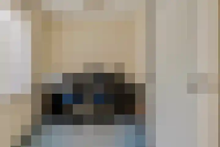 Braziliëlaan 15 Drunen thumbnail 7