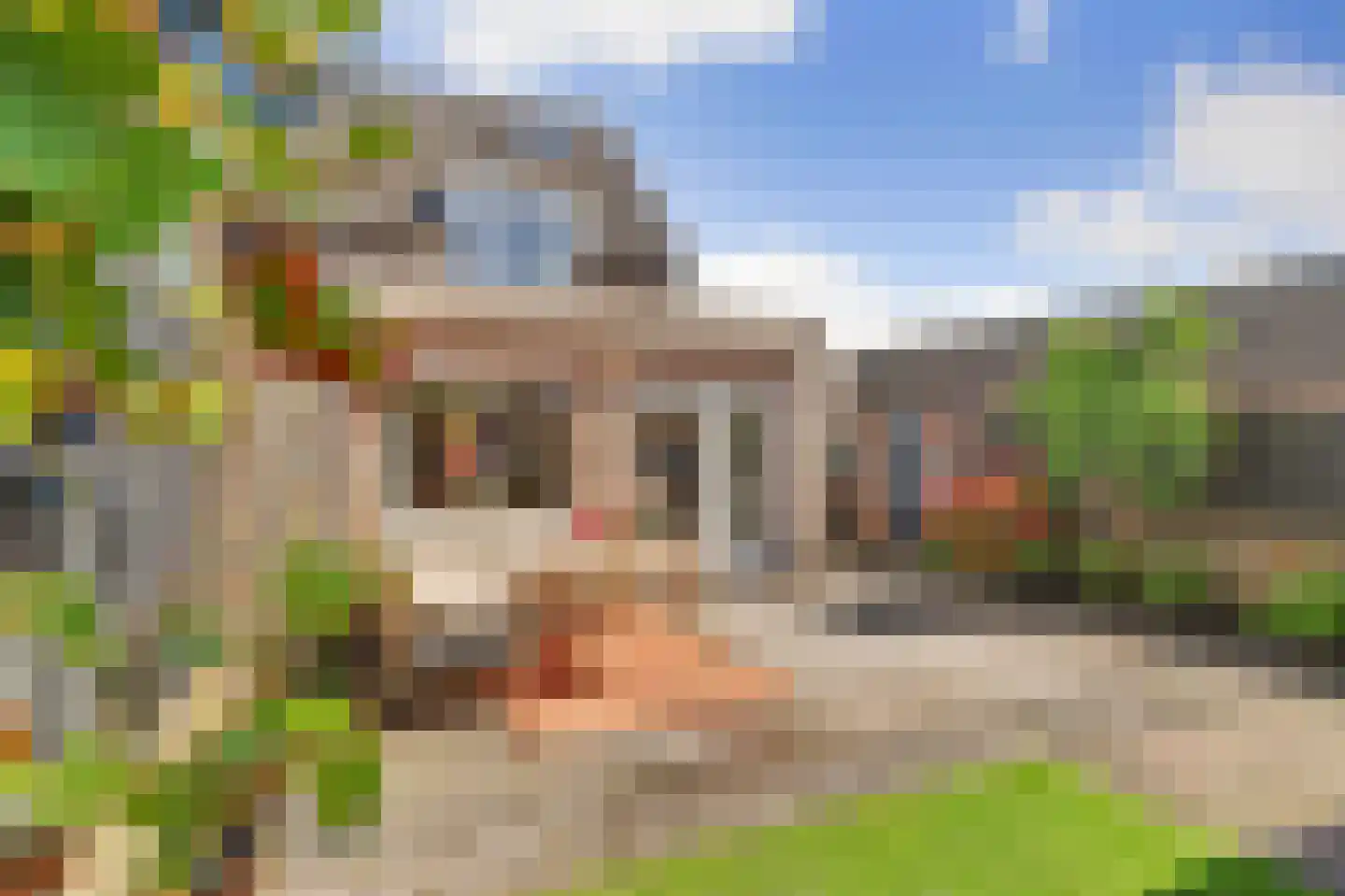 Braziliëlaan 40 Drunen thumbnail 33