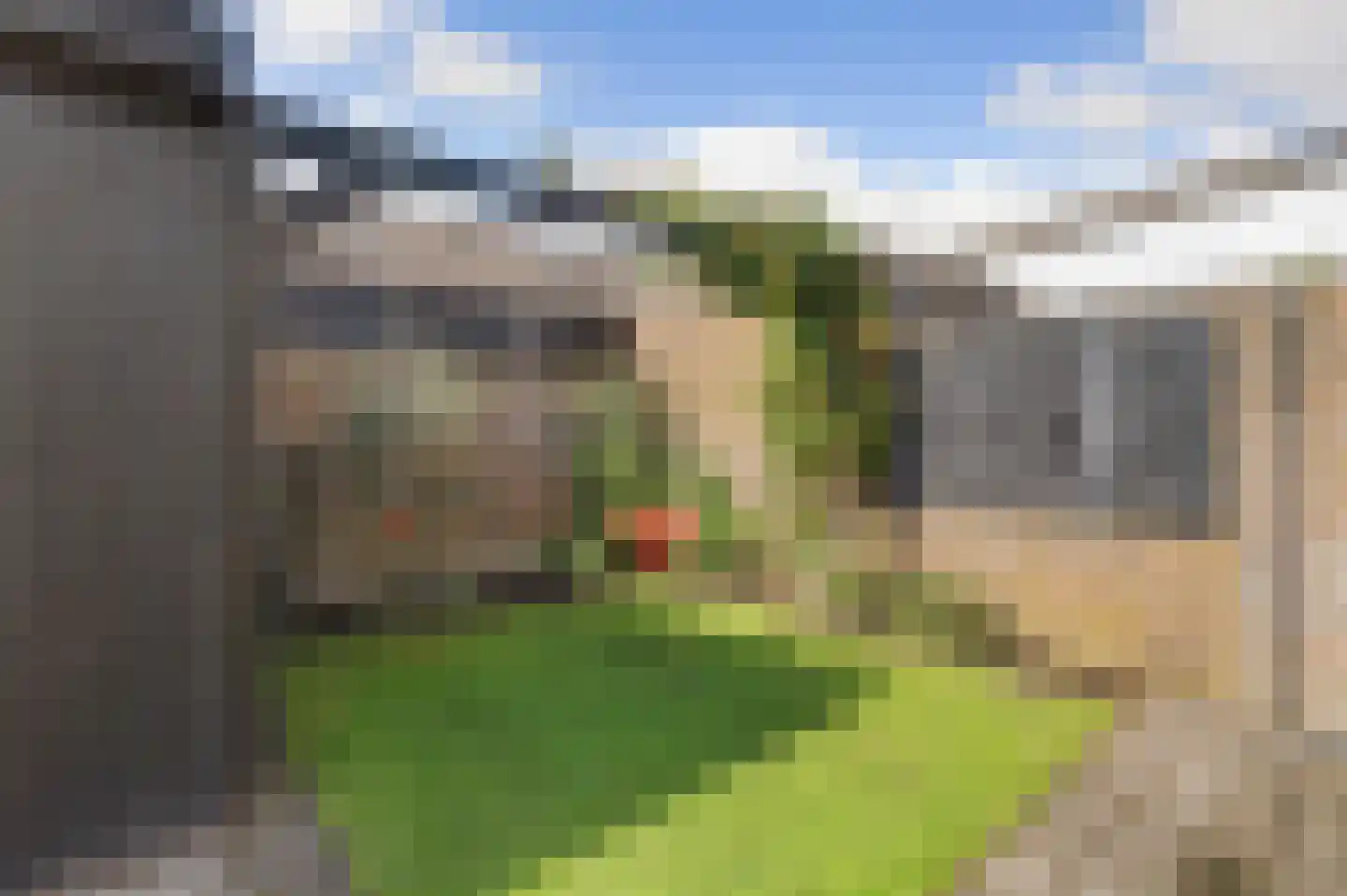 Braziliëlaan 40 Drunen thumbnail 36