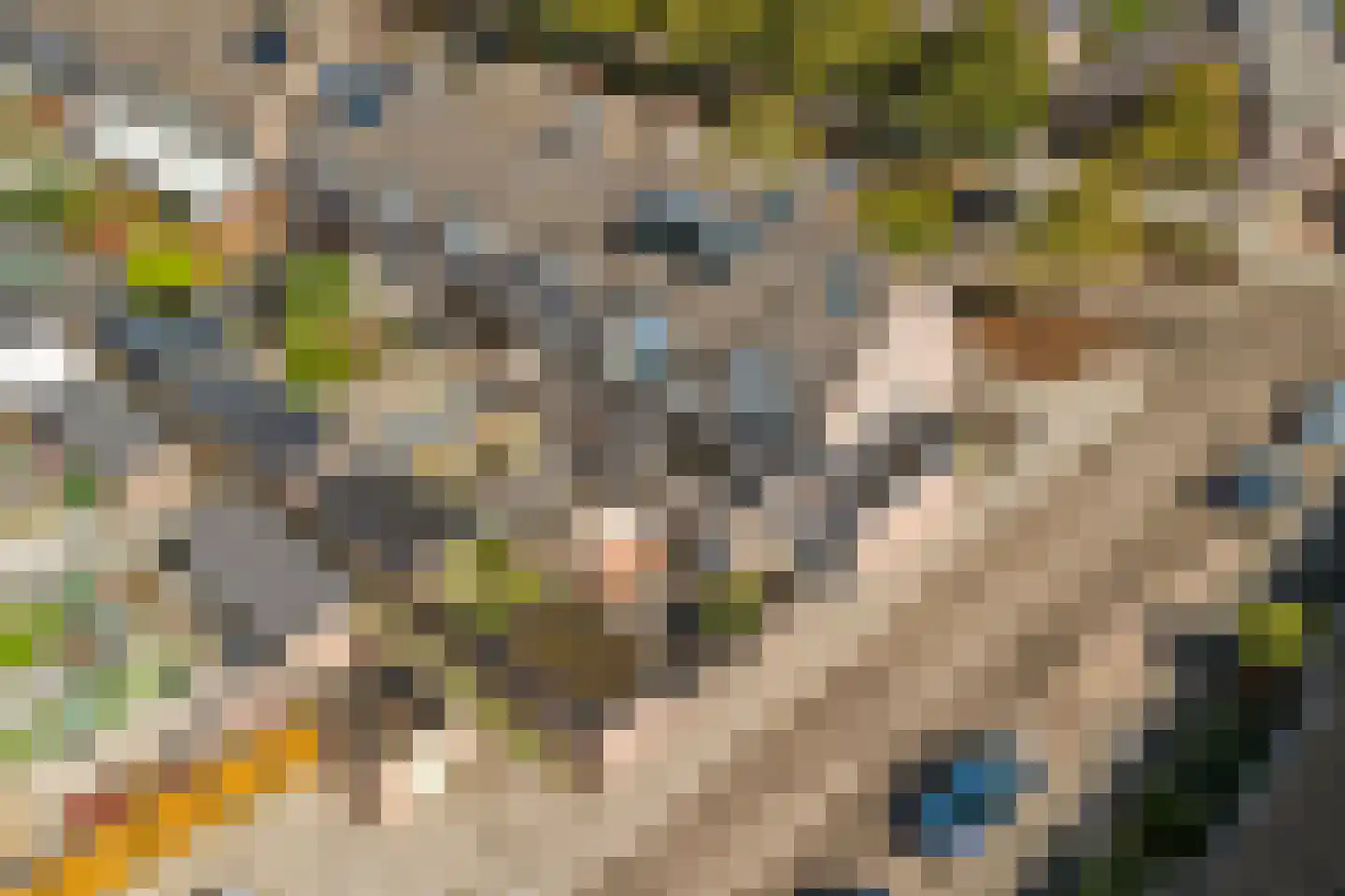 Braziliëlaan 40 Drunen thumbnail 44