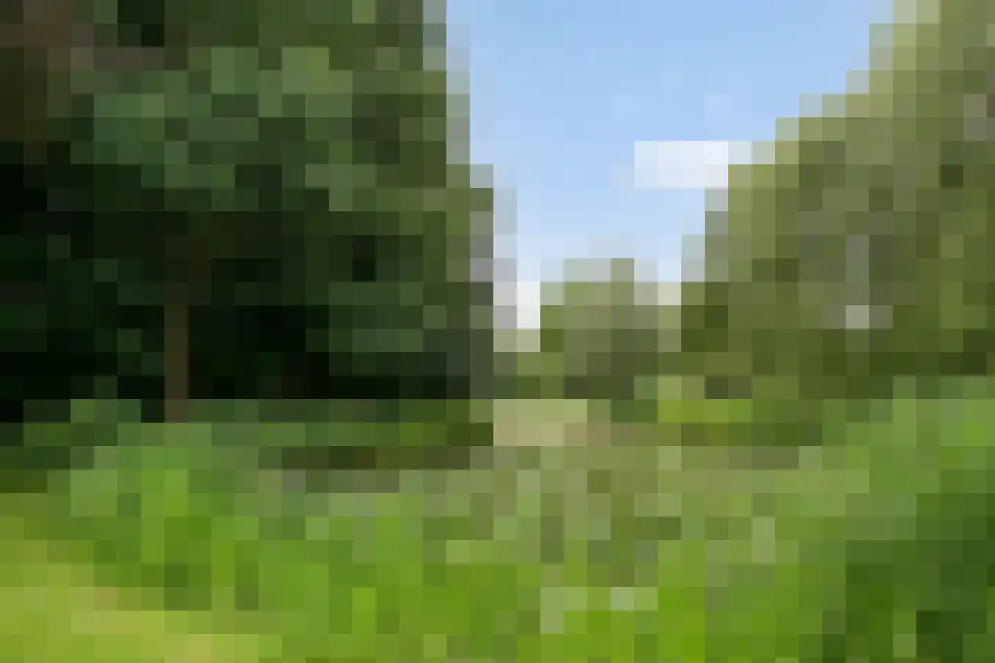 Braziliëlaan 40 Drunen thumbnail 46