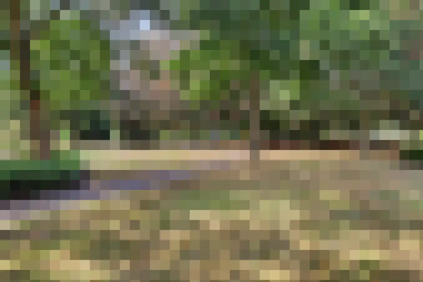 Braziliëlaan 40 Drunen thumbnail 47