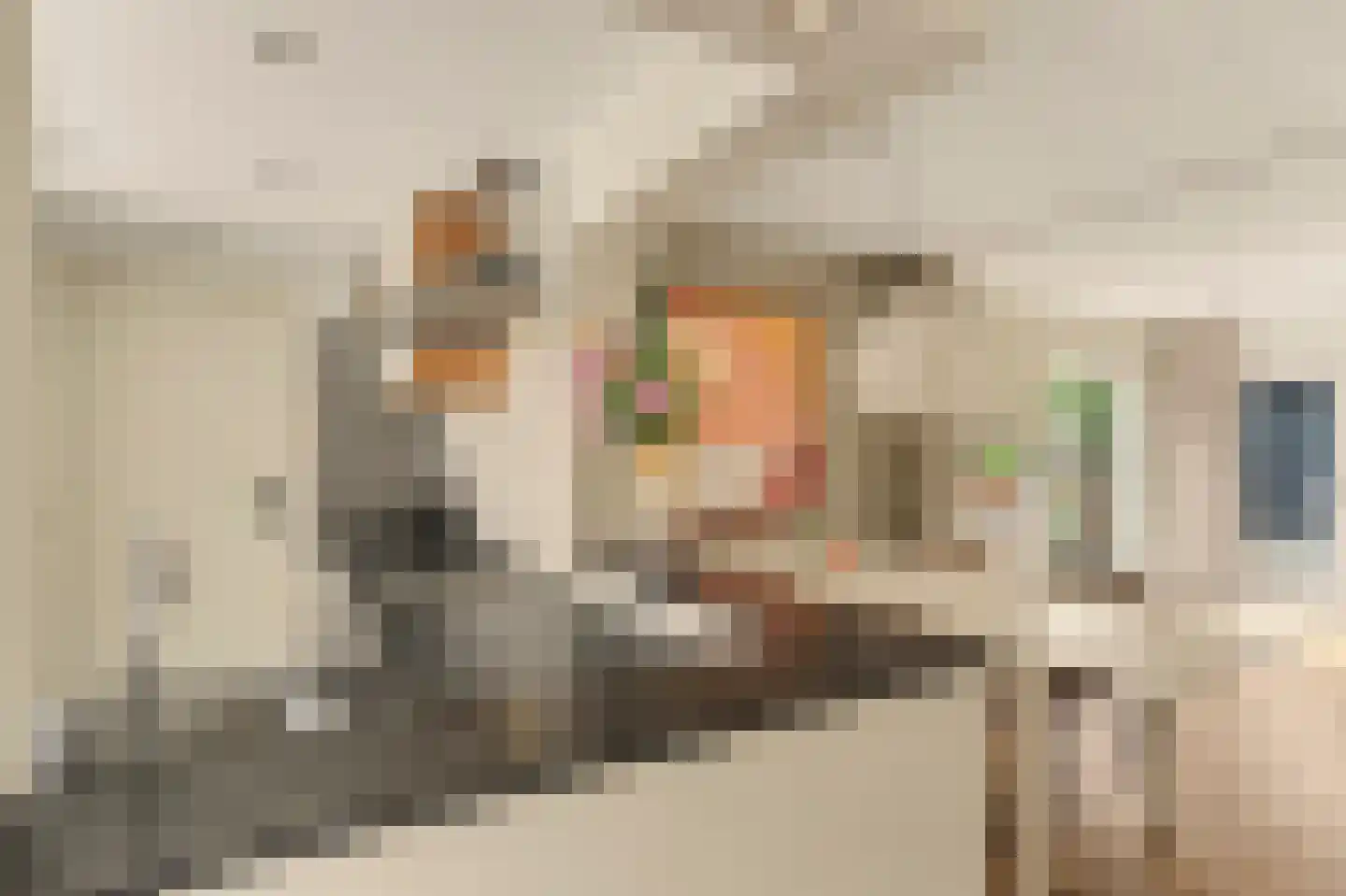Braziliëlaan 40 Drunen thumbnail 7