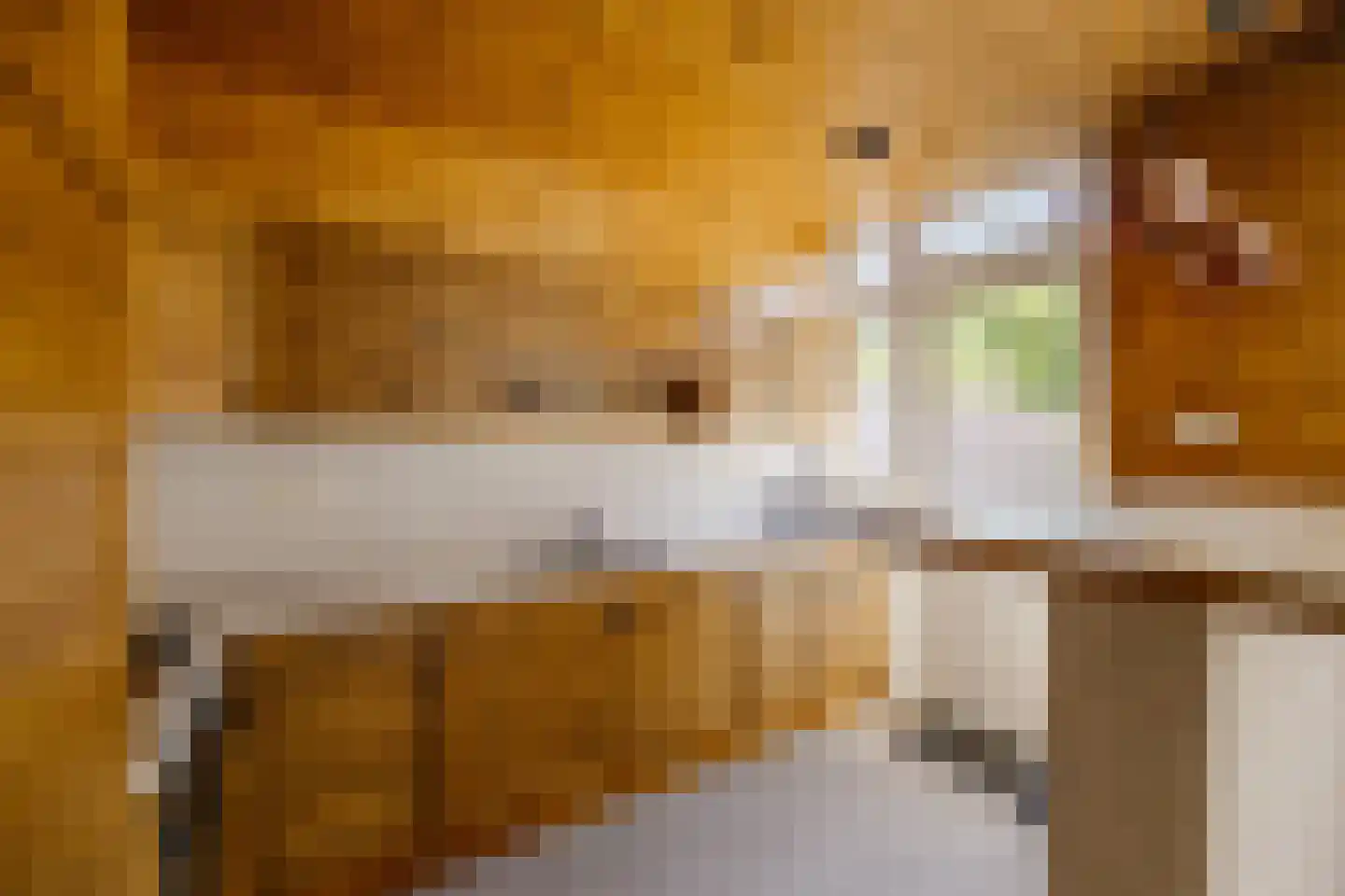 Braziliëlaan 8 Overveen thumbnail 12