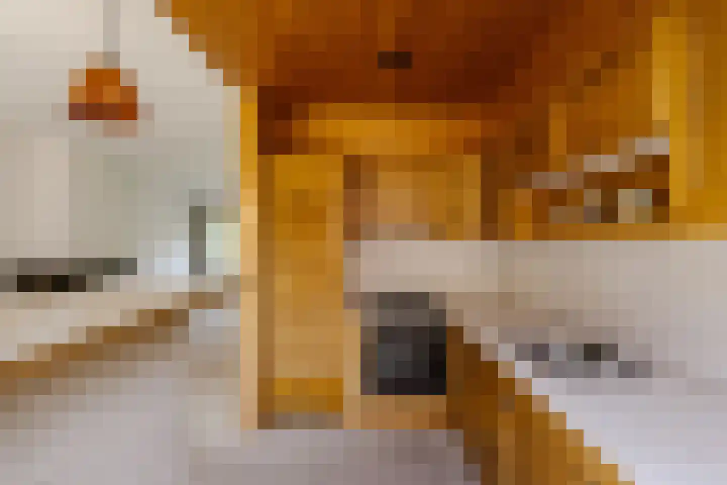 Braziliëlaan 8 Overveen thumbnail 13