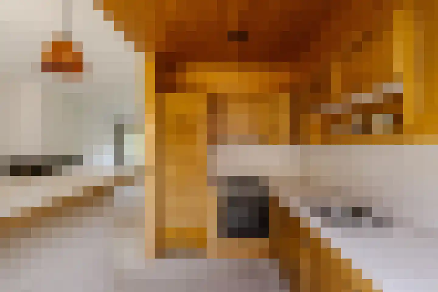 Braziliëlaan 8 Overveen thumbnail 13