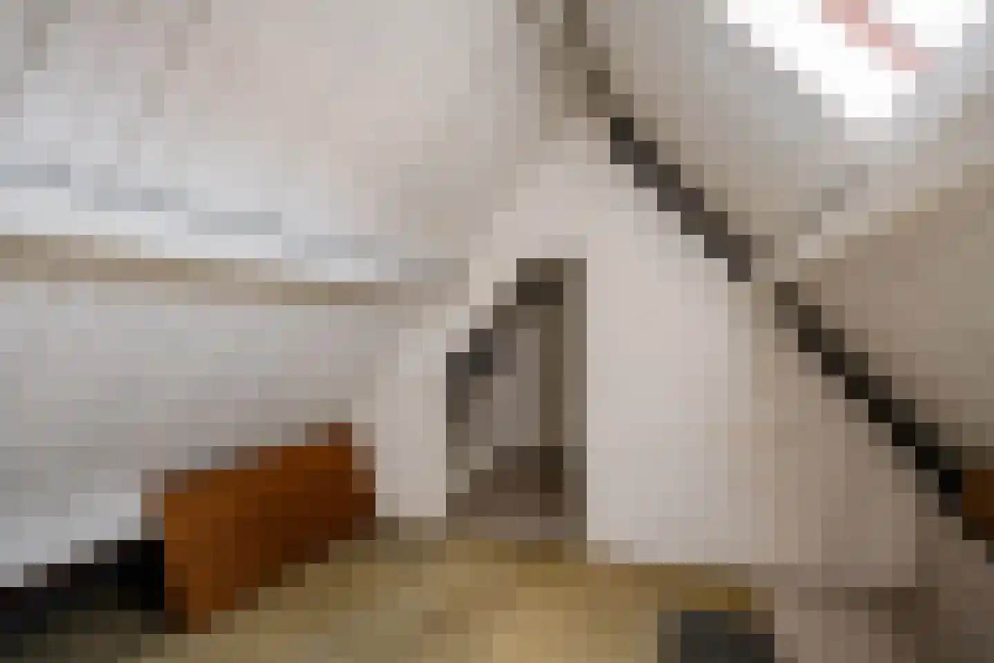 Braziliëlaan 8 Overveen thumbnail 44