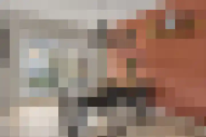 Brechtenstede 17 Teteringen thumbnail 12