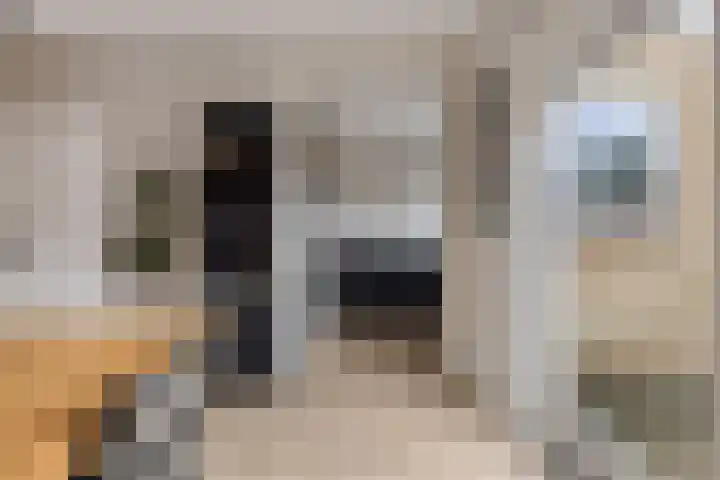 Brechtenstede 17 Teteringen thumbnail 14