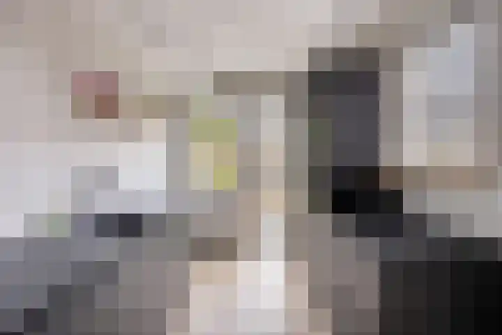 Brechtenstede 17 Teteringen thumbnail 15