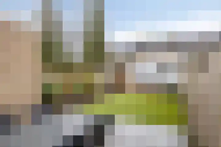 Brechtenstede 17 Teteringen thumbnail 18