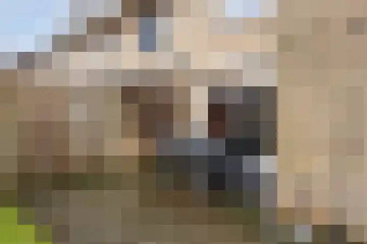 Brechtenstede 17 Teteringen thumbnail 19