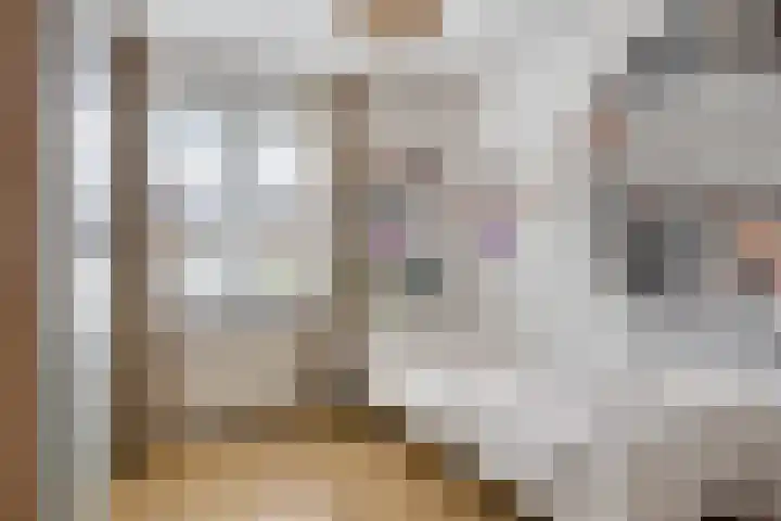 Brechtenstede 17 Teteringen thumbnail 24