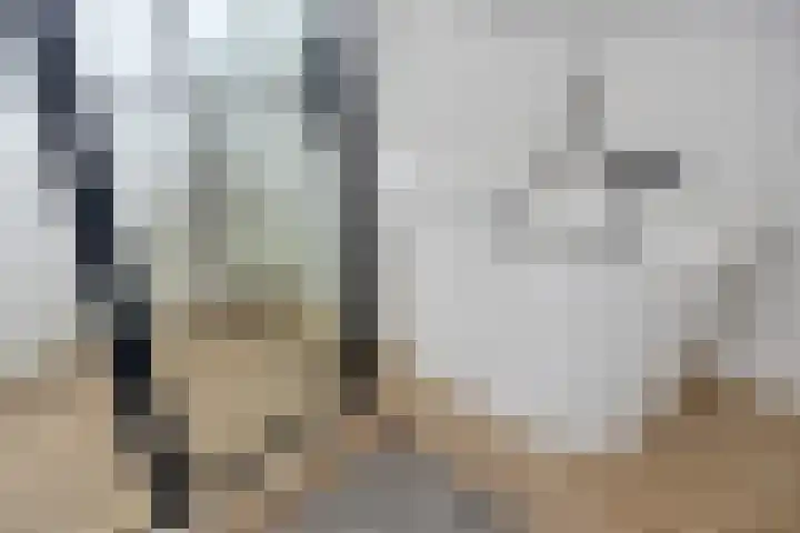 Brechtenstede 17 Teteringen thumbnail 29