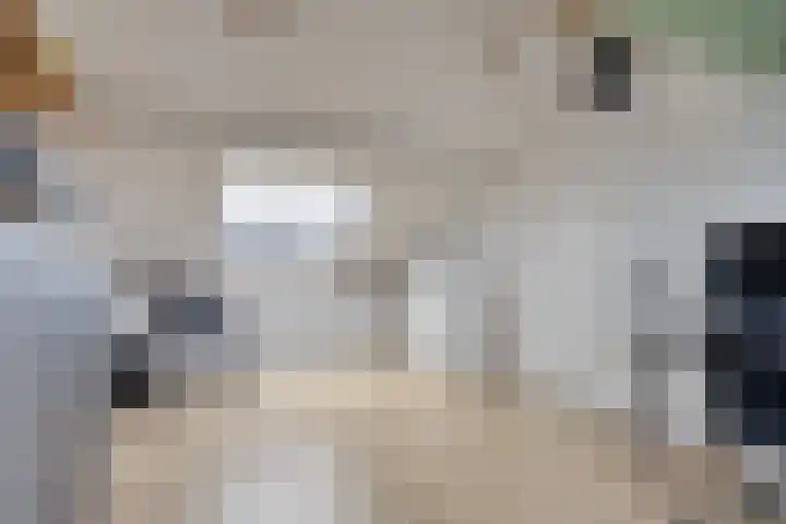 Brechtenstede 17 Teteringen thumbnail 34