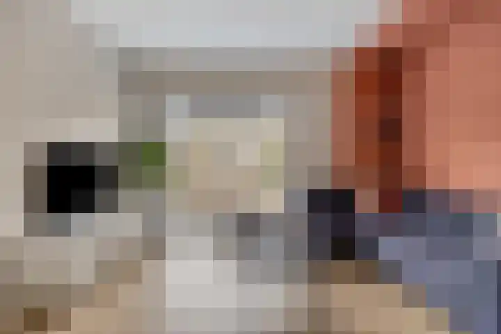 Brechtenstede 17 Teteringen thumbnail 9