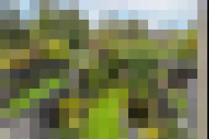 Brechtje Spiegelerf 27 Amersfoort thumbnail 26