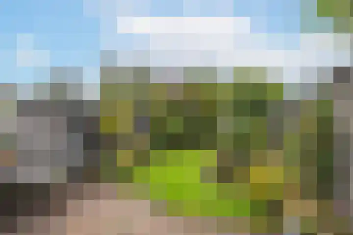 Brechtje Spiegelerf 27 Amersfoort thumbnail 40