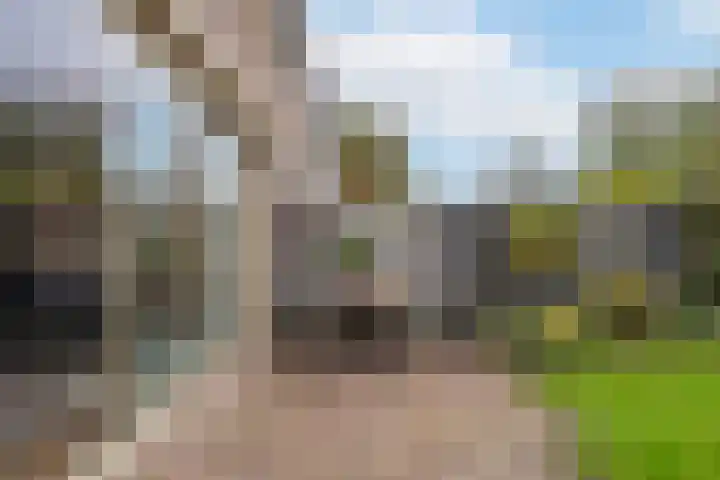 Brechtje Spiegelerf 27 Amersfoort thumbnail 42