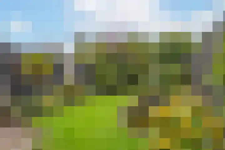 Brechtje Spiegelerf 27 Amersfoort thumbnail 44