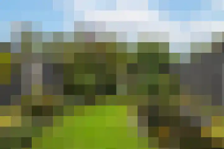 Brechtje Spiegelerf 27 Amersfoort thumbnail 45