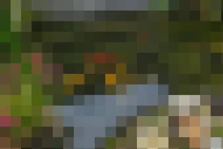 Brechtje Spiegelerf 27 Amersfoort thumbnail 46