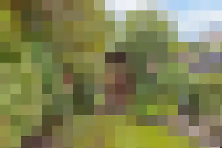 Brechtje Spiegelerf 27 Amersfoort thumbnail 47
