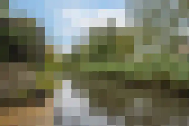 Brechtje Spiegelerf 27 Amersfoort thumbnail 53