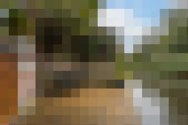 Brechtje Spiegelerf 27 Amersfoort thumbnail 55
