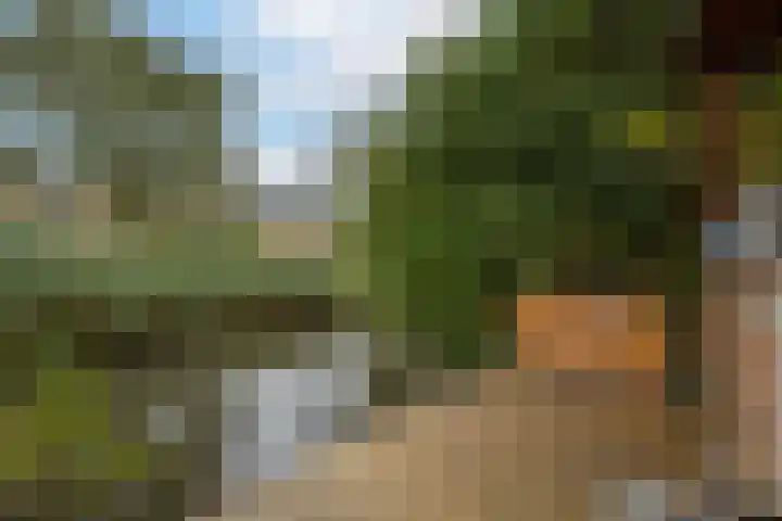 Brechtje Spiegelerf 27 Amersfoort thumbnail 56