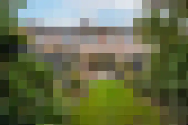 Brechtje Spiegelerf 27 Amersfoort thumbnail 57