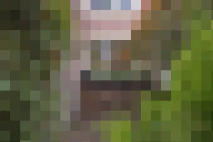 Brechtje Spiegelerf 27 Amersfoort thumbnail 7
