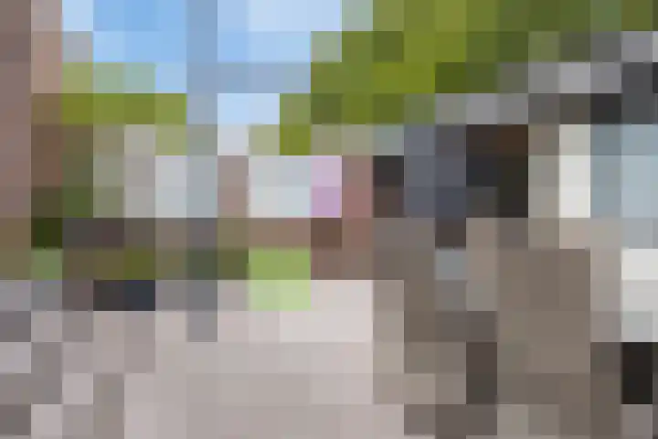Brechtstraat 63 Venlo thumbnail 31
